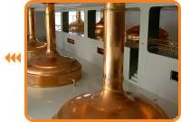 Pilsen Brewery and Koněprusy Caves