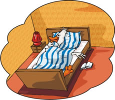 Accommodation