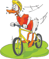 Bicycle Tour