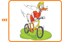 Bicycle Tour