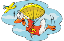 Sky Diving