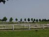 Horseback Riding