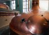 Brewery Tour