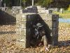 Paintball outdoor