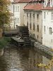 The Best of Prague