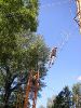 High Ropes - Jungle Creek