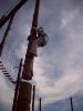 High Ropes - Jungle Creek