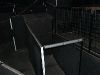 Laser Game