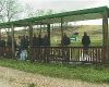 Clay Pigeon Shooting