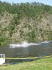 Water ski