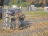 Paintball outdoor