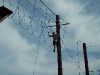 High Ropes - Jungle Creek