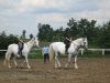 Horseback Riding