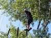 High Ropes - Jungle Creek