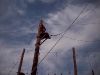 High Ropes - Jungle Creek