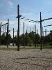High Ropes - Jungle Creek