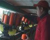 Clay Pigeon Shooting